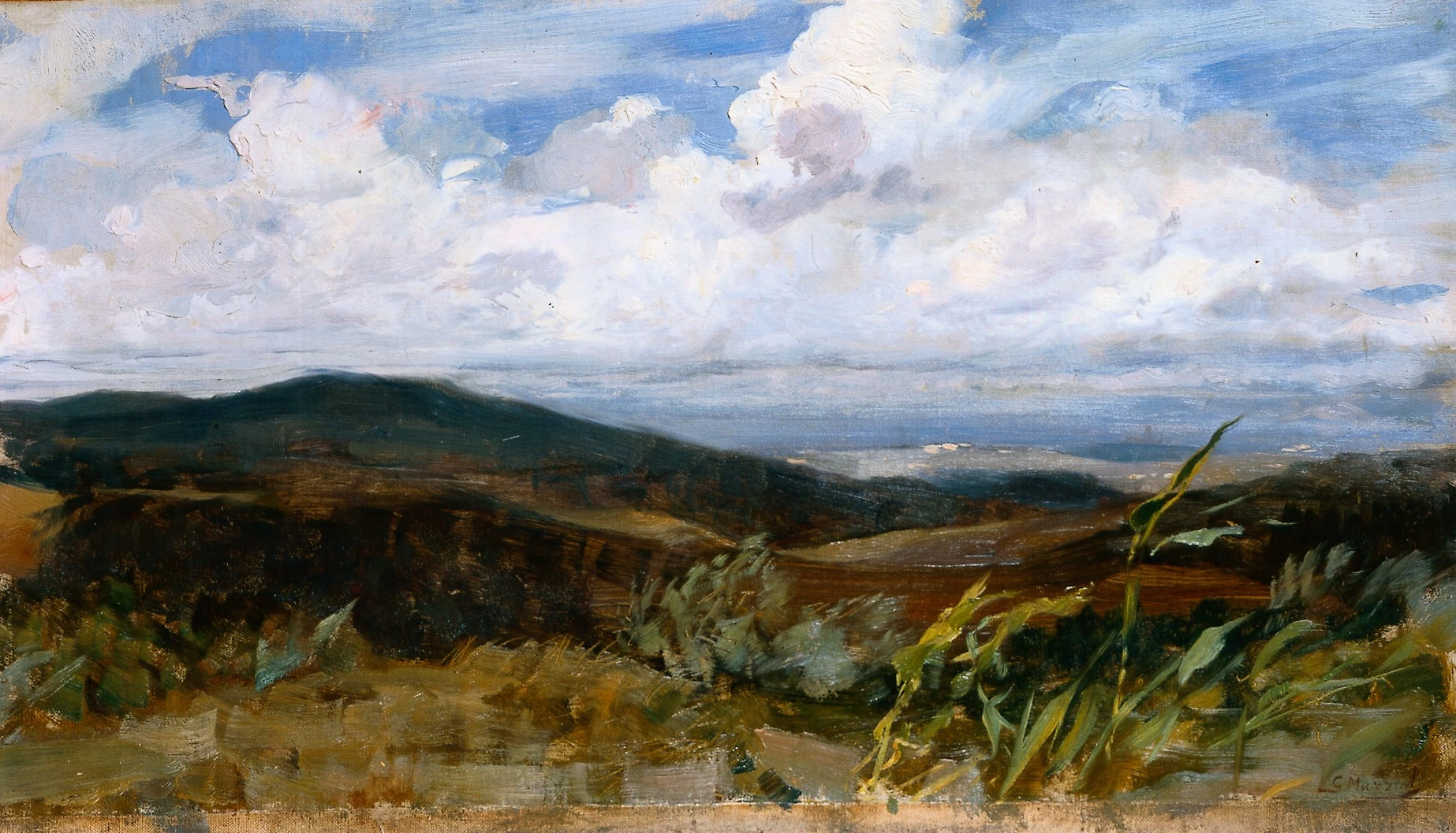 Paesaggio - Museo Civico di Modena